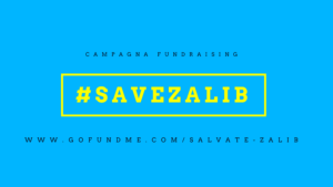 Zalib: libreria rischia di chiudere. Save Zalib