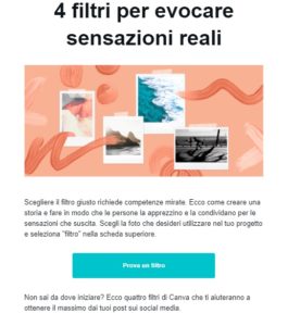 La newsletter di Canva